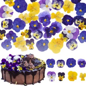 50 Pcs 8 Kinds Natural Dried Pressed Edible Flowers for Cake Topper